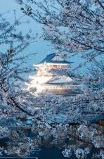 星空体育台节目表今天-星空体育台今日节目概览，激情与盛宴汇聚的盛宴
